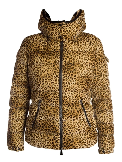 Moncler Women's Bady Leopard-print Velvet Puffer Coat In Camel