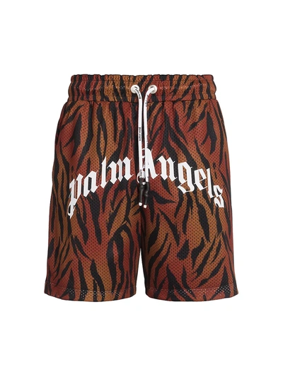 Palm Angels Men's Tiger-print Mesh Shorts In Brown White
