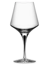 Orrefors Metropol 2-piece Red Wine Glass Set In Nocolor