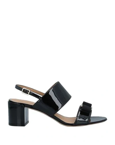Ferragamo Sandals In Black