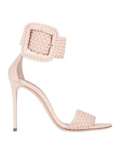 Casadei Sandals In Pink