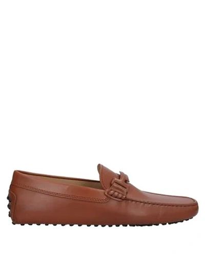 Tod's Loafers In Brown