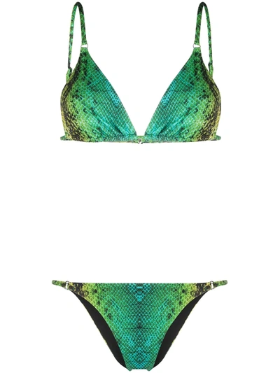 Noire Swimwear Snake Tanning Bikini In Green