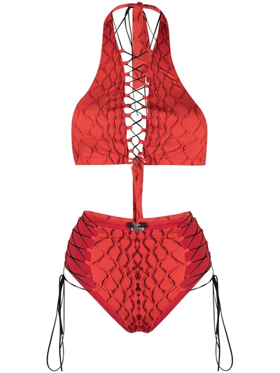 Noire Swimwear Addicted Snakeskin Print Bikini In Red