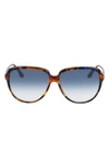 Victoria Beckham 60mm Gradient Round Sunglasses In Chocolate Smoke/ Blue Gradient