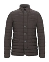 Herno Jackets In Cocoa