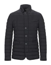 Herno Jackets In Blue