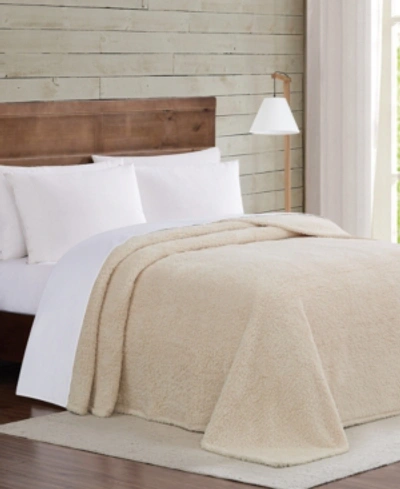 Brooklyn Loom Marshmallow Sherpa Blanket, Twin/twin Xl In Ivory