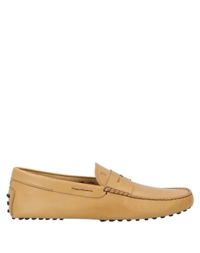 Tod's Loafers In Ocher