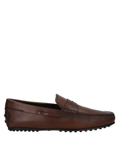 Tod's Loafers In Brown