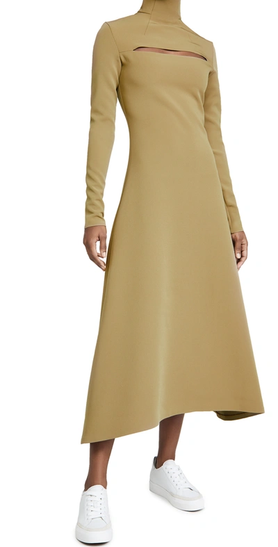 A.w.a.k.e. Asymmetric Cutout Cady Turtleneck Dress In Brown