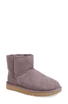 Ugg Classic Mini Ii Genuine Shearling Lined Boot In Stormy Grey Suede