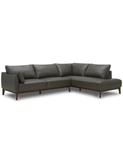 Furniture Jollene Leather 2-pc. Sectional With Chaise, Created For Macy's In Dark Grey