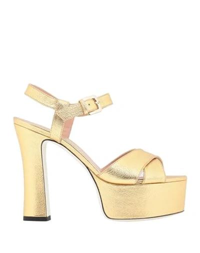 Pollini Sandals In Gold