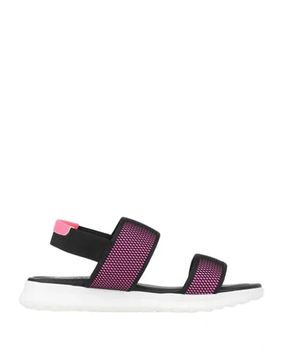 Pollini Sandals In Fuchsia