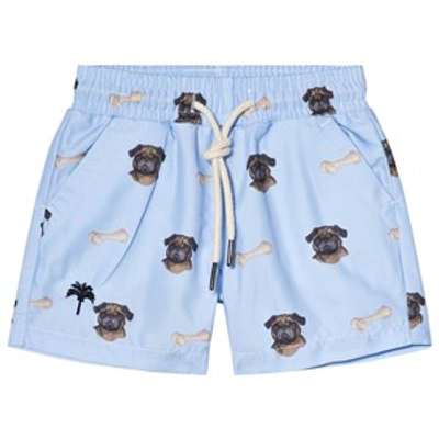 Oas Kids' Pug Swim Shorts In Blue