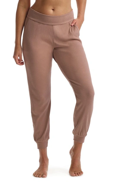 Commando Ribbed Sweatpants In Mushroom