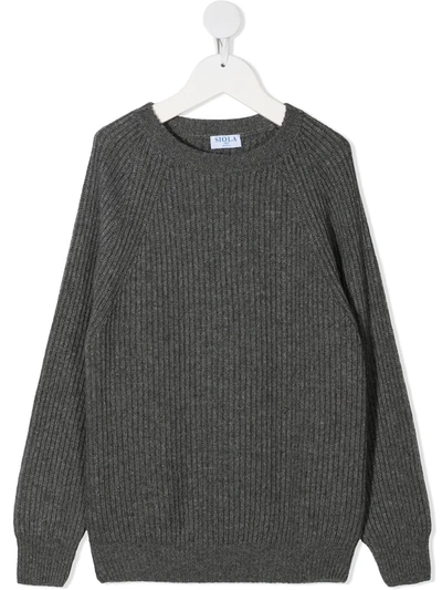 Siola Kids' Intarsia-knit Jumper In Grey