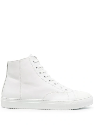 Low Brand Basket Sneakers In White Leather