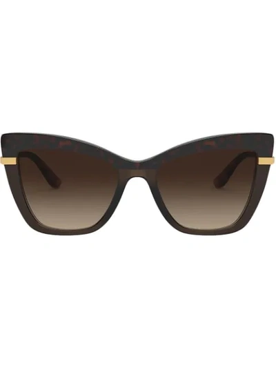 Dolce & Gabbana Cat-eye Frame Sunglasses In Brown