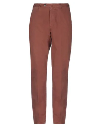 Pt Torino Pants In Cocoa