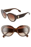 Burberry 54mm Round Cat Eye Sunglasses In Dark Havana/brown Gradient