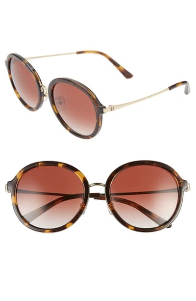 Tory Burch 55mm Gradient Round Sunglasses In Dark Tort/ Brown Gradient