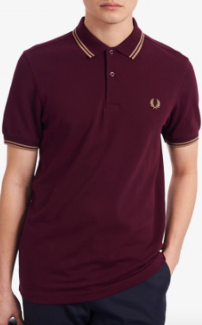 Fred Perry - M3600 In Mahogany / Warm Stone / Warm Stone - Atterley In  Burgandy | ModeSens