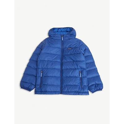 Patagonia Hi-loft Recycled Shell-down Jacket 5-14 Years In Blue