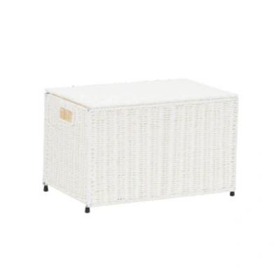 Household Essentials Small Wicker Storage Chest, White In Arctic White