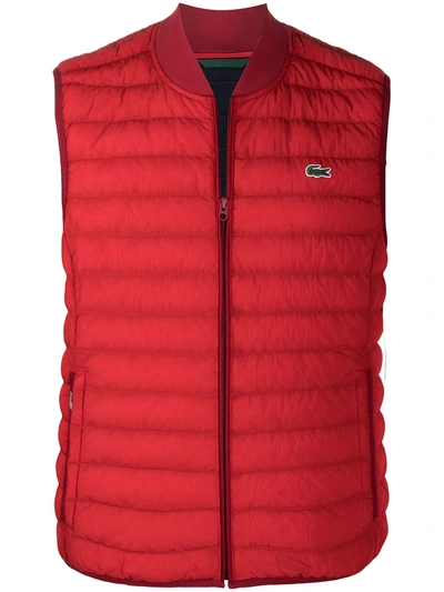 Lacoste Embroidered Crocodile Quilted Gilet In Red