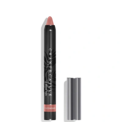 Chantecaille Le Matte Stylo Lip Crayon 1.5ml (various Shades) In Meadowsweet
