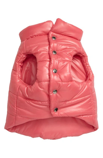 Moncler Genius Moncler Poldo Giubbotto Dog Puffer Jacket In Pink