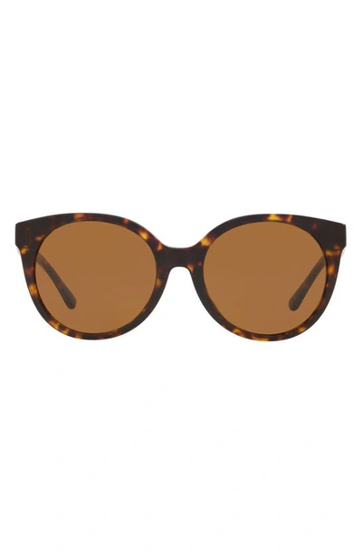 Tory Burch 53mm Cat Eye Sunglasses In Dark Tortoise/ Brown