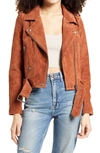 Blanknyc Morning Suede Moto Jacket In Mud Pie