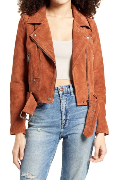 Blanknyc Morning Suede Moto Jacket In Mud Pie