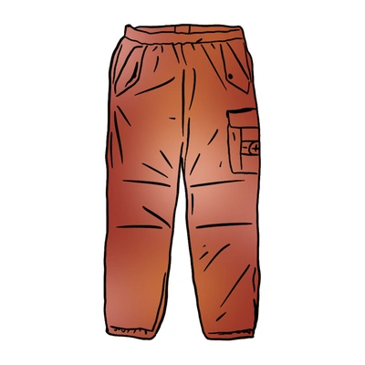 Pre-owned Supreme  Stone Island Painted Camo Nylon Cargo Pant Coral