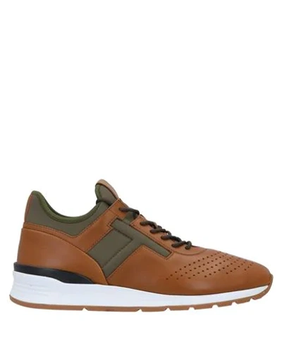 Tod's Sneakers In Brown