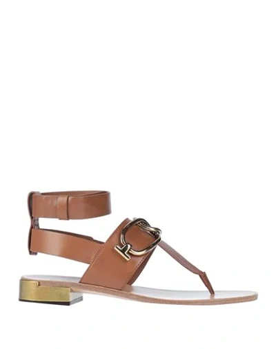 Tod's Toe Strap Sandals In Brown