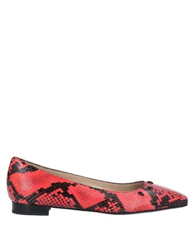 Cavalli Class Ballet Flats In Coral
