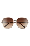 Tom Ford 62mm Claudia Square Sunglasses In Brown
