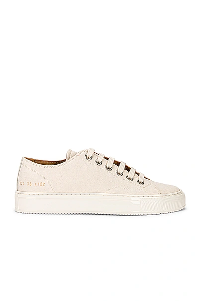 Common Projects Off-white Tournament Low Sneakers In Off White