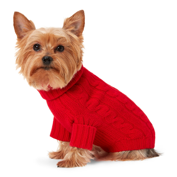 Ralph Lauren Cable Cashmere Dog Sweater In Rl 2000 Red | ModeSens