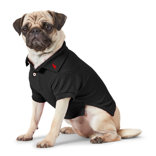 Ralph Lauren Cotton Mesh Dog Polo Shirt In Polo Black | ModeSens