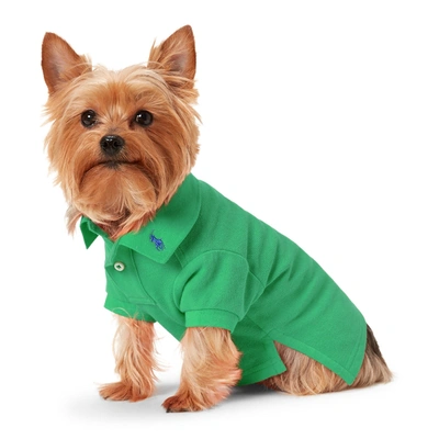 Ralph Lauren Cotton Mesh Dog Polo Shirt In Golf Green | ModeSens