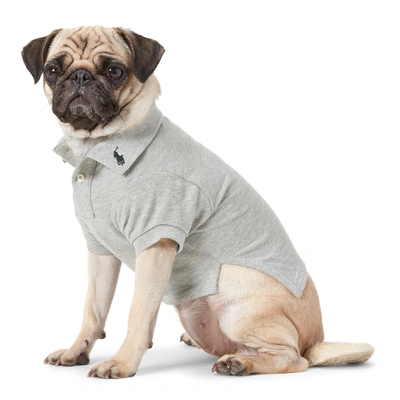Ralph Lauren Cotton Mesh Dog Polo Shirt In Andover Heather | ModeSens