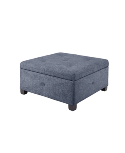 Madison Park Storage Ottoman In Blue