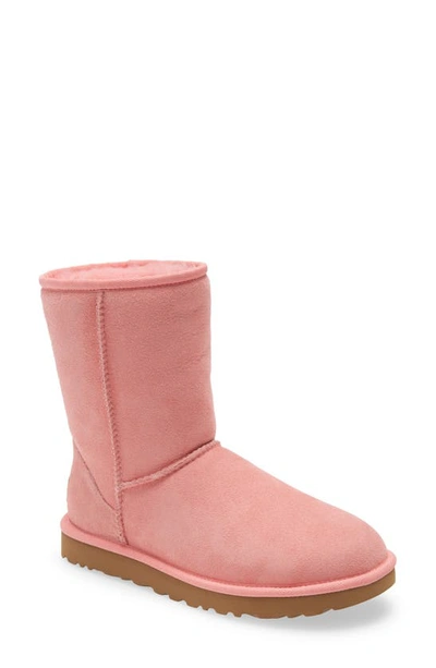 Ugg Classic Ii Genuine Shearling Lined Short Boot In Flamingo Pink Suede