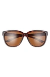 Smith 58mm Monterey Chromapop™ Polarized Sport Sunglasses In Tortoise / Cp Polar Brown