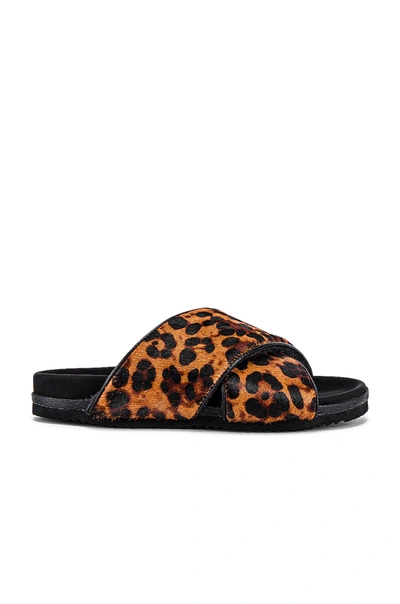 R0am Calf Cross Sandal In Leopard